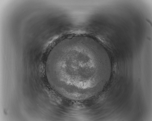 X0000102251398200808011300