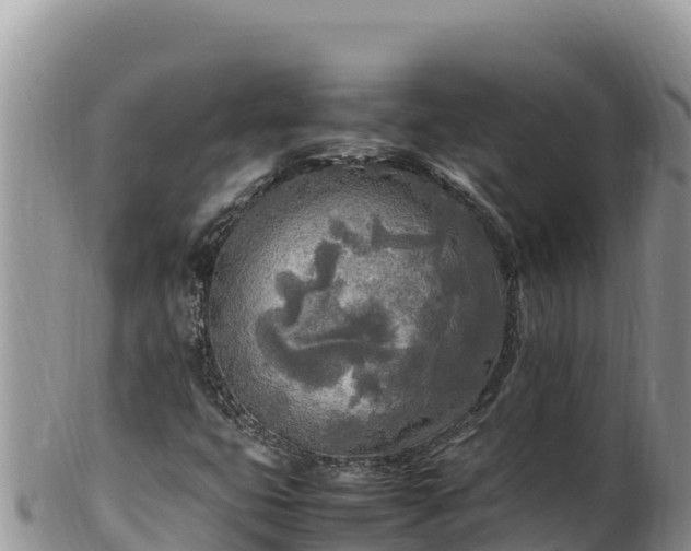 X0000102251399200808011300