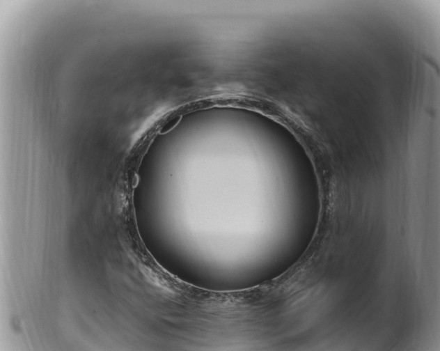 X0000102251400200808011300