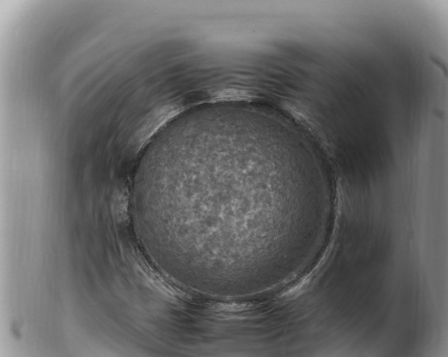 X0000102251401200808011300