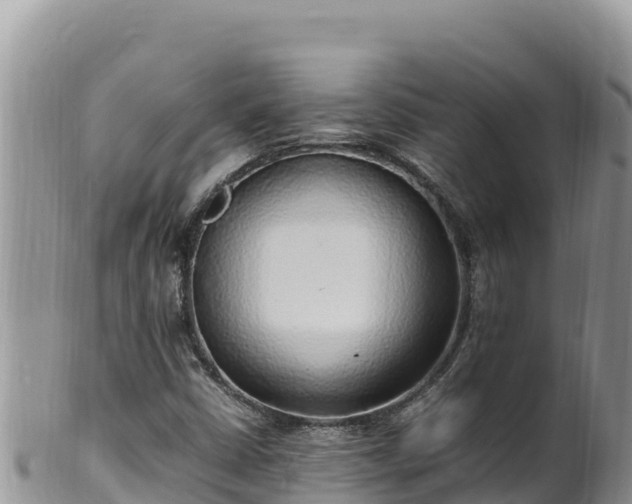 X0000102251402200808011300