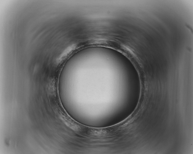 X0000102251403200808011300