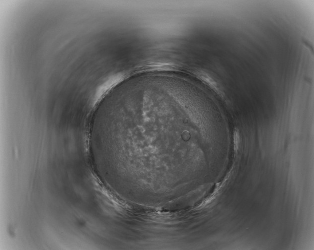 X0000102251405200808011300