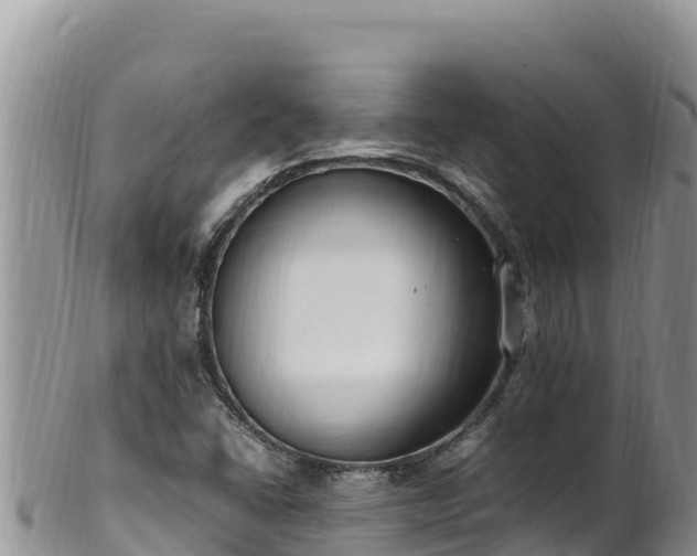 X0000102251406200808011300