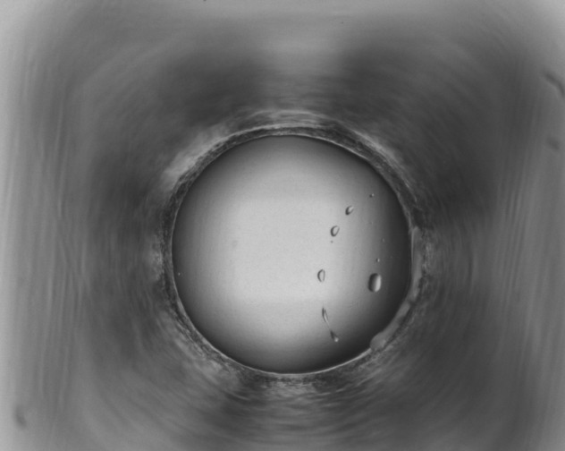 X0000102251407200808011300