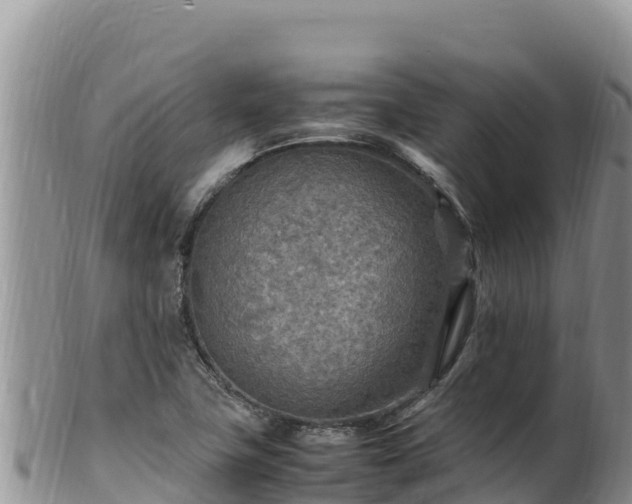 X0000102251411200808011300