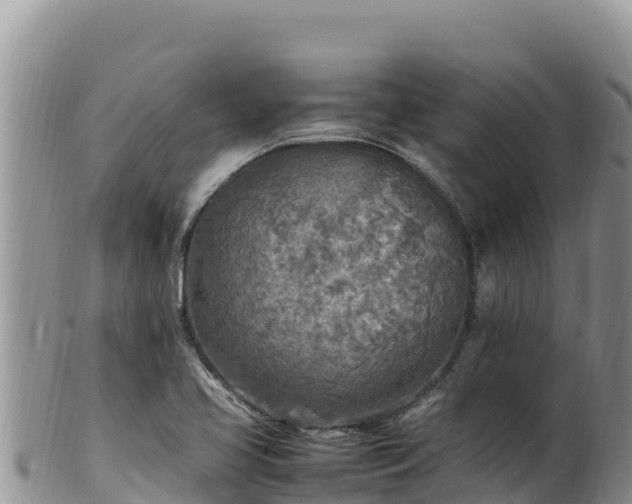 X0000102251413200808011300