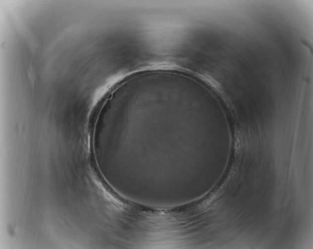 X0000102251414200808011300