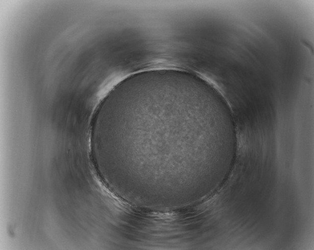 X0000102251415200808011300