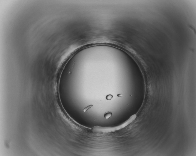 X0000102251416200808011300