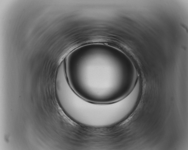 X0000102251417200808011300