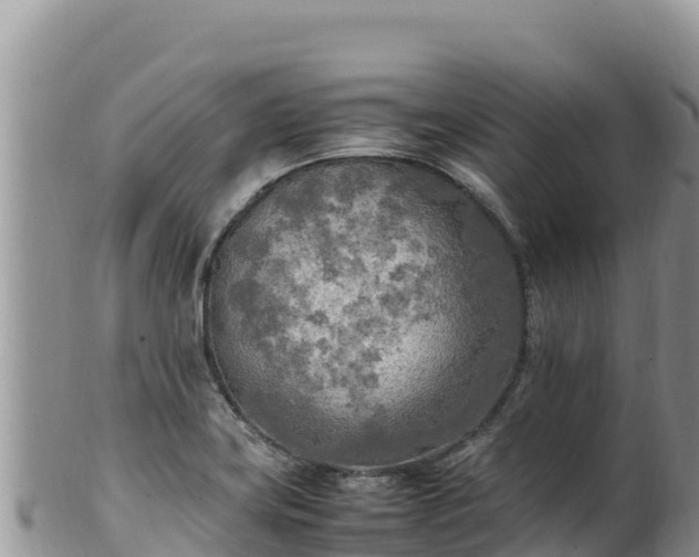 X0000102251419200808011300