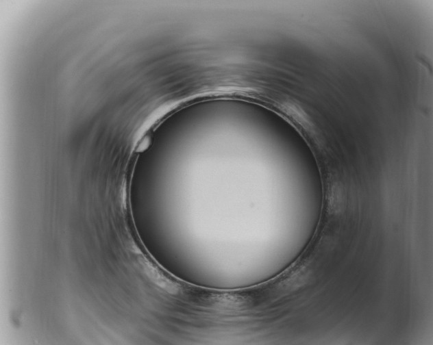 X0000102251420200808011300