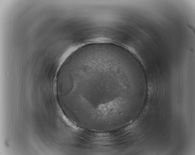 X0000102251421200808011300