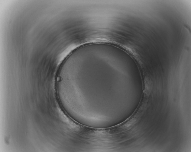 X0000102251422200808011300