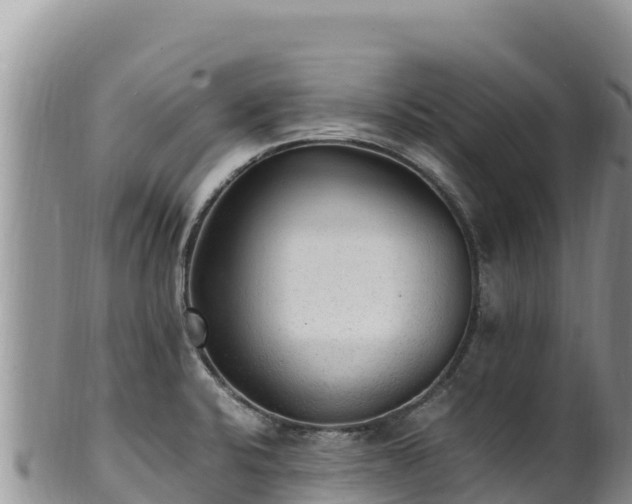 X0000102251424200808011300