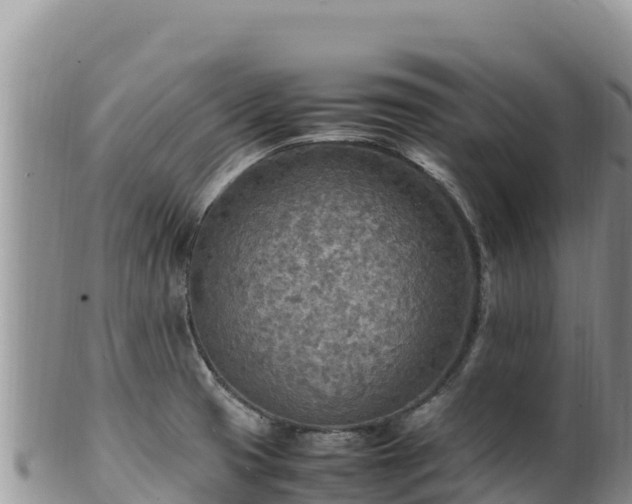 X0000102251425200808011300