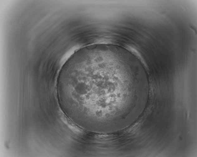 X0000102251427200808011300