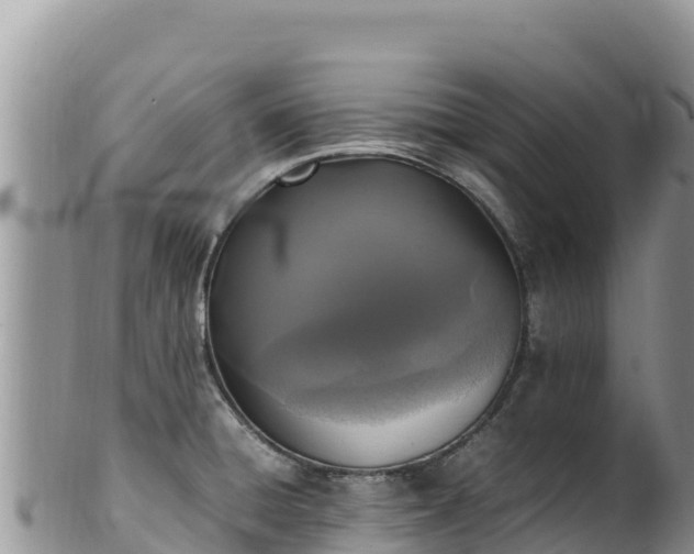 X0000102251428200808011300