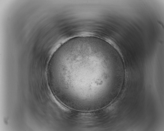 X0000102251429200808011300