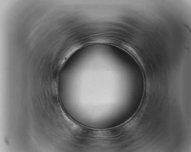 X0000102251433200808011300