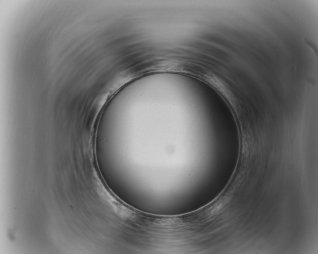 X0000102251434200808011300