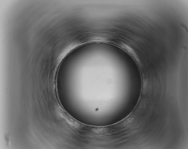 X0000102251435200808011300