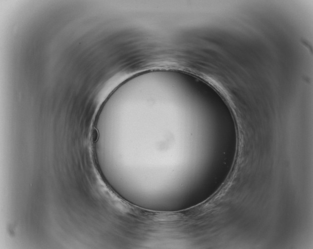 X0000102251440200808011300