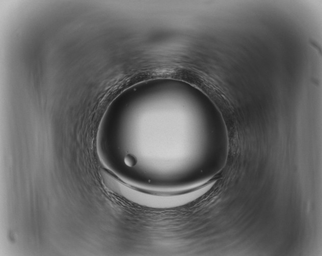 X0000102251441200808011300