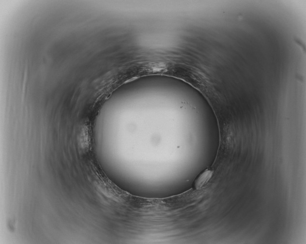 X0000102251442200808011300