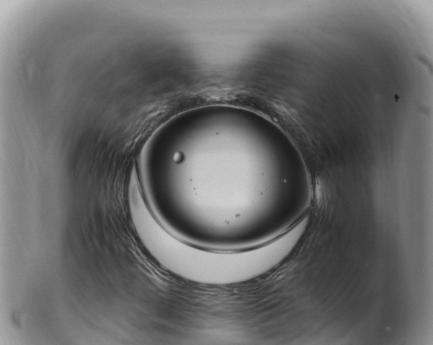 X0000102251444200808011300