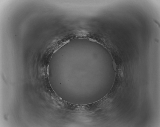 X0000102251445200808011300