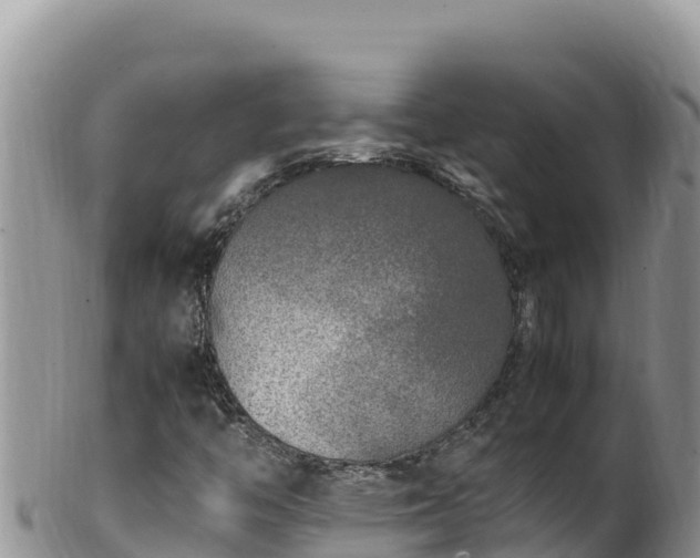 X0000102251446200808011300