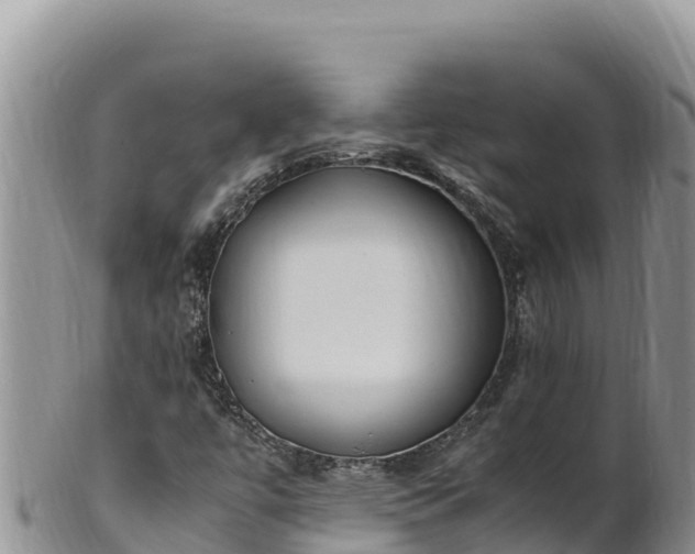 X0000102251447200808011300