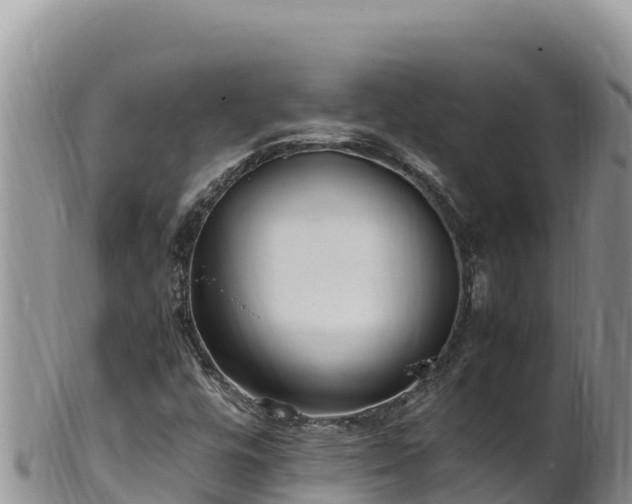 X0000102251448200808011300