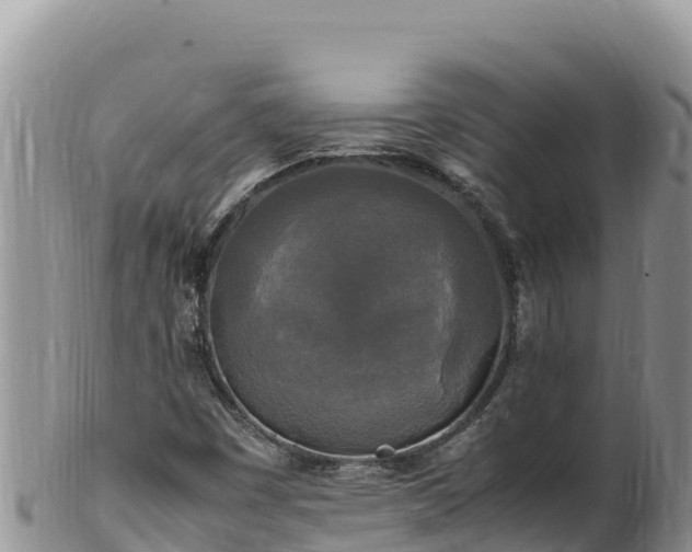 X0000102251449200808011300