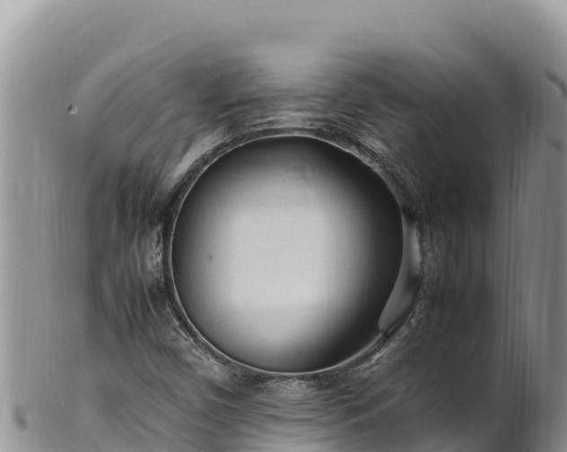 X0000102251450200808011300