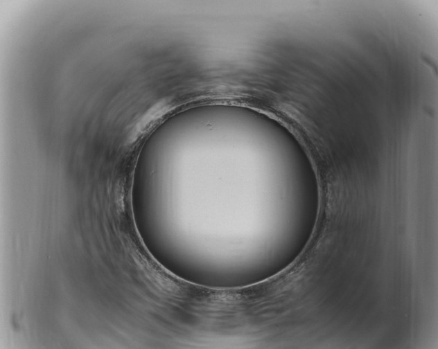 X0000102251451200808011300