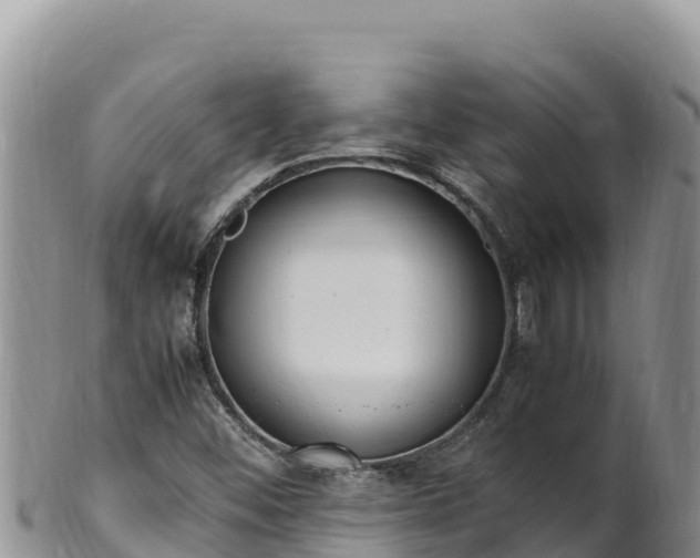 X0000102251452200808011300