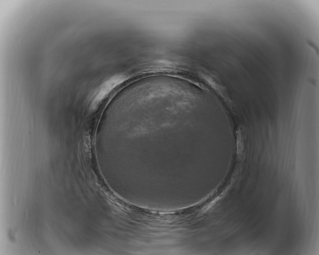 X0000102251453200808011300