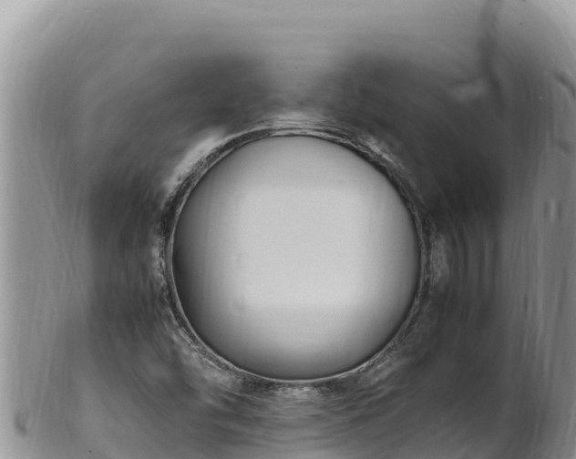 X0000102251454200808011300