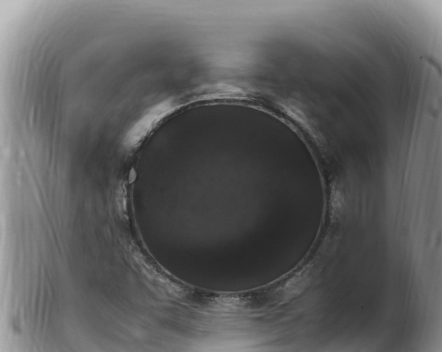 X0000102251455200808011259