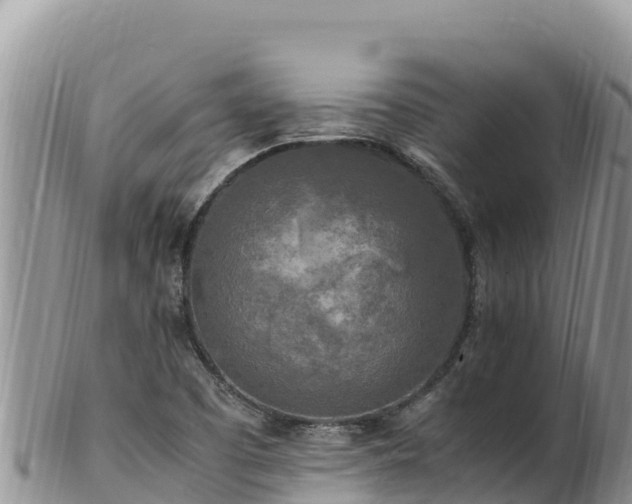 X0000102251457200808011259