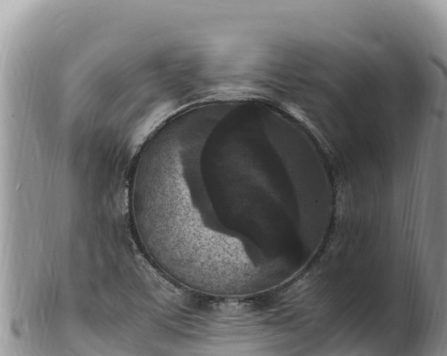 X0000102251459200808011259