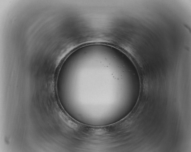 X0000102251460200808011259