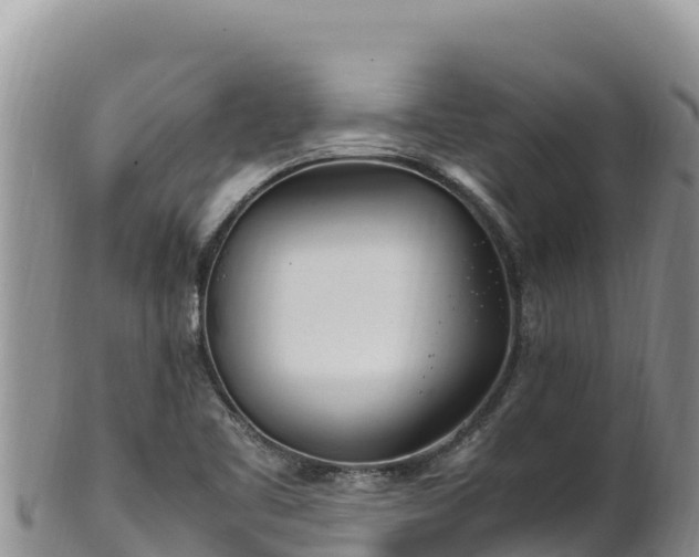 X0000102251461200808011259