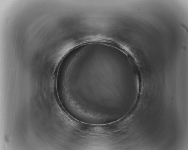 X0000102251463200808011259