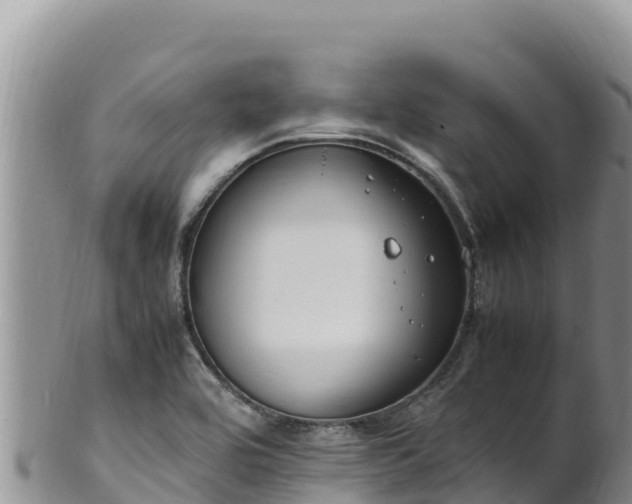 X0000102251464200808011259