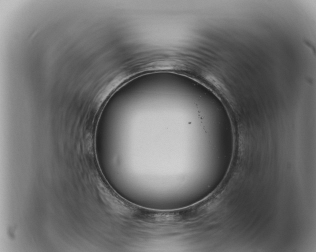 X0000102251465200808011259