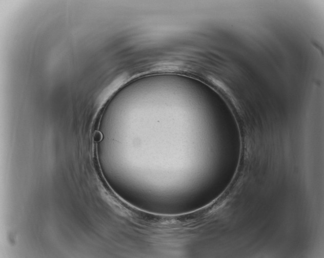 X0000102251467200808011259